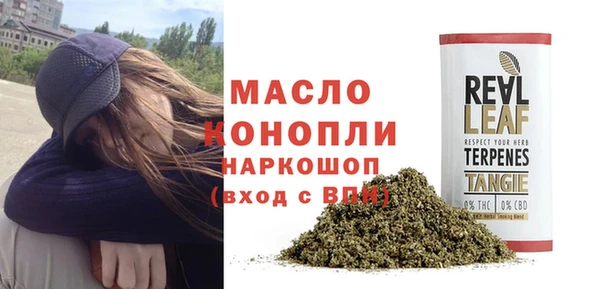 прущие грибы Дмитровск