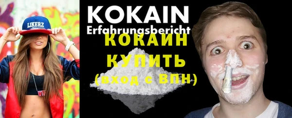 бошки Дмитров