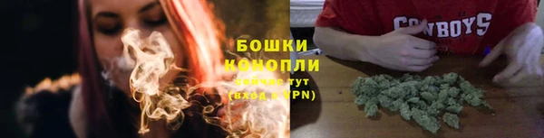 трава Ельня