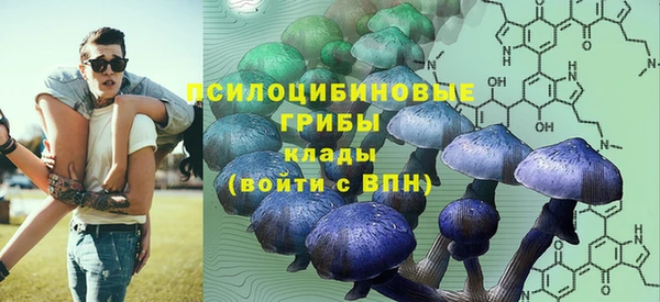 бошки Дмитров
