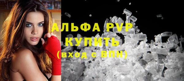 прущие грибы Дмитровск